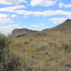 10 Acres - Elko County NV SOLD - Image 13