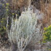 10 Acres - Elko County NV SOLD - Image 11